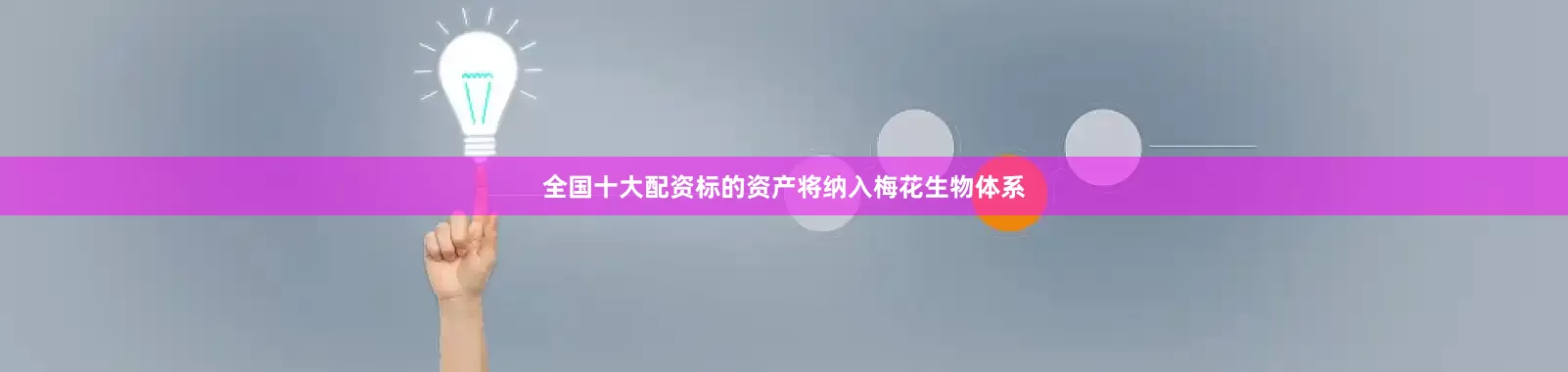 全国十大配资标的资产将纳入梅花生物体系