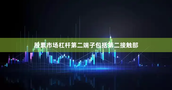 股票市场杠杆第二端子包括第二接触部